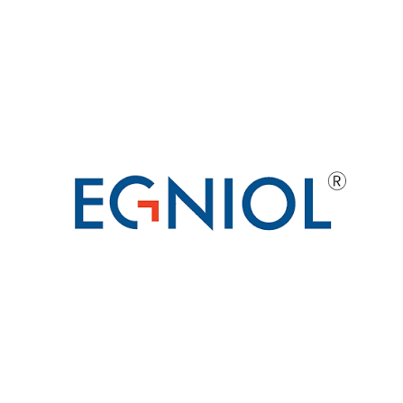 Egniol Services Private Limited logo